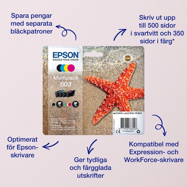 Epson Multipack 4-colours 603 Ink
