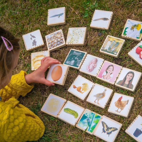 Tickit Wooden Lifecycle Tiles