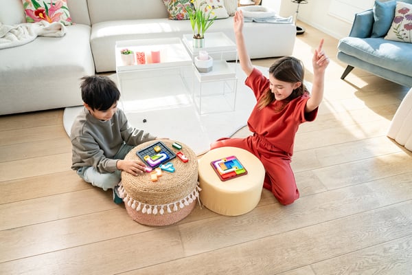 SmartGames Genius Connection Boks puslespil