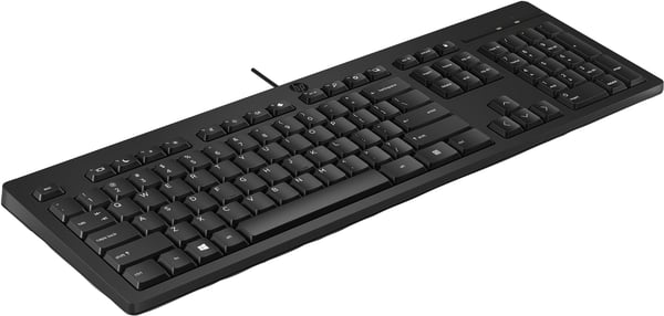 HP 125 Wired Keyboard (Bulk) tastatur Kontor USB Sort