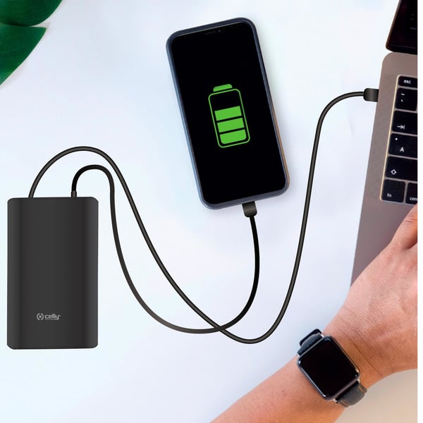 Celly PBPD45W15000BK powerbank 15000 mAh Sort