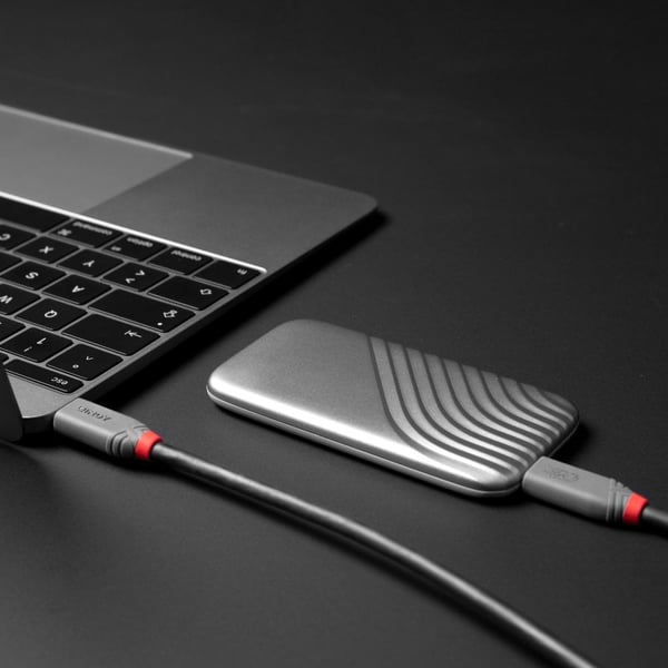 Lindy 36958 USB-kablar USB4 Gen 3x2 2 m USB C 40 Gbit/s 240 W Svart
