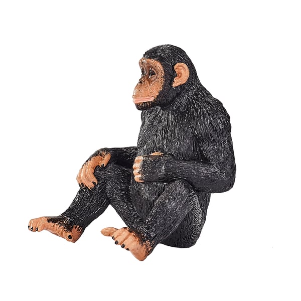 Mojo Fun Chimpanzee