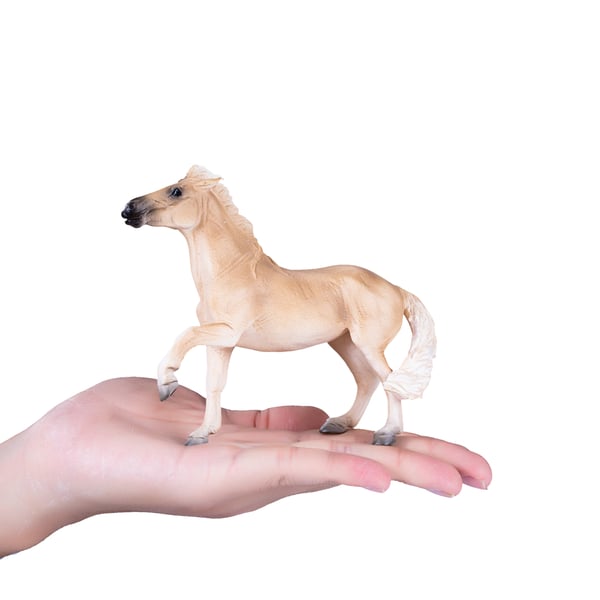 Mojo Fun Brumby Mare