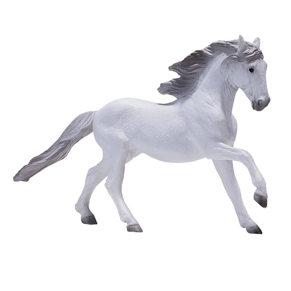Mojo Fun Lusitano