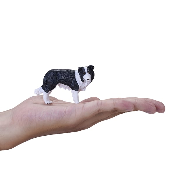 Mojo Fun Border Collie