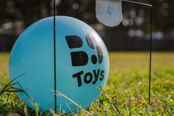 BS Toys GA557 aktive/færdighedsspil & legetøj Fodboldsæt