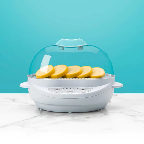 NutriBullet BSR08N dampkoger Fritstående 450 W Hvid