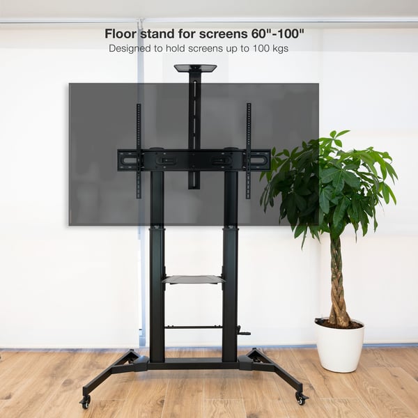TooQ ZEUS 2,54 m (100") Svart