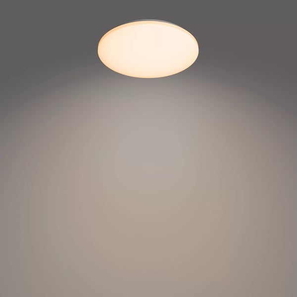 Philips Funktionel Izso loftslampe, 40 W
