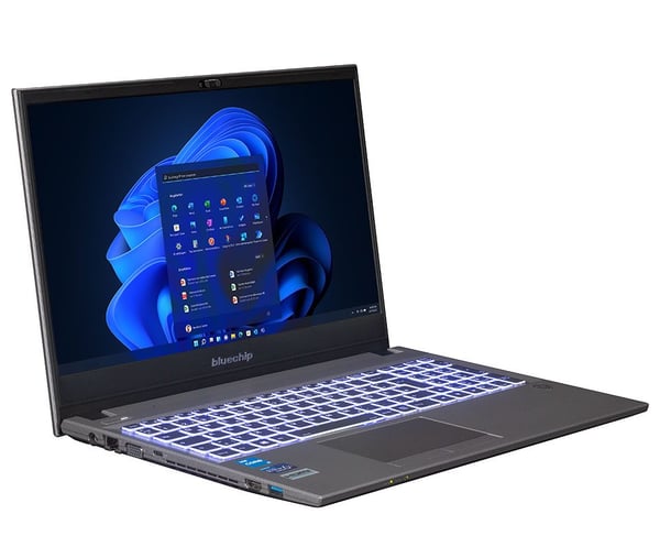 bluechip TRAVELline L15W17 Intel® Core™ i5 i5-1335U Laptop 39,6 cm (15.6") Fuld HD 16 GB DDR4-SDRAM 500 GB SSD Wi-Fi 6 (802.11ax) Windows 11 Pro Grå