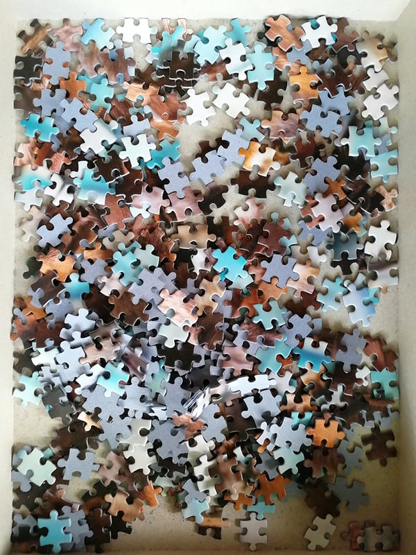 Tactic Dashing Dacshunds 1000 pcs Puslespil 1000 stk Dyr