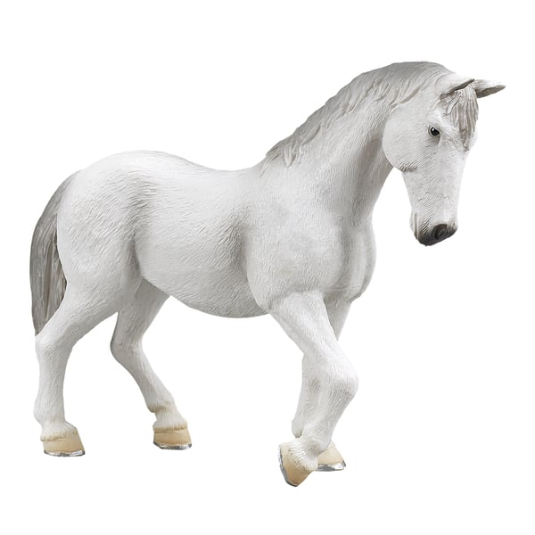 Mojo Fun Lipizzaner Mare