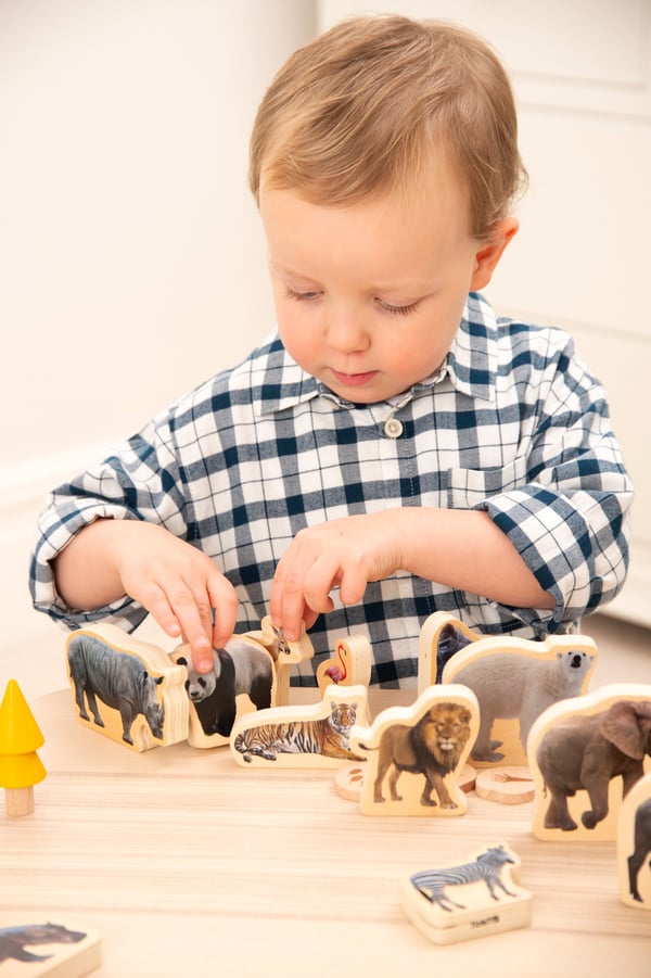 Tickit Wooden Wild Animal Blocks