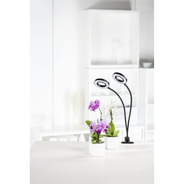 Hama Circle bordslampor 18 W Svart