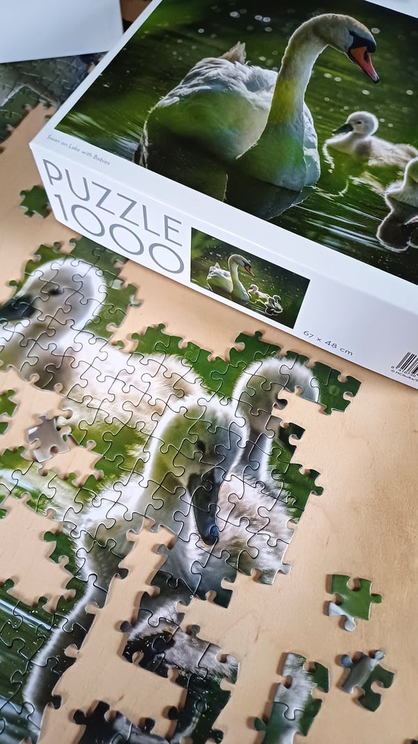 Tactic Puzzle Lovers Swan on Lake with Babies 1000 palan palapeli