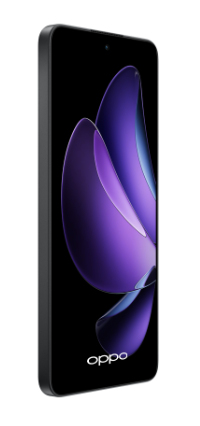 OPPO 13 F 5G Reno 13F 5G 16,9 cm (6.67") Dual SIM USB Type-C 8 GB 256 GB 5800 mAh Grå