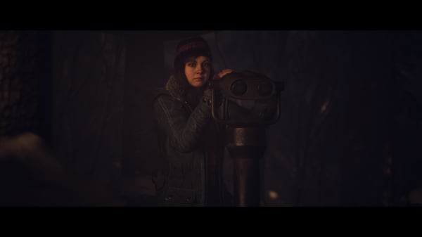 Sony Interactive Entertainment Until Dawn Standard Flersproget PlayStation 5