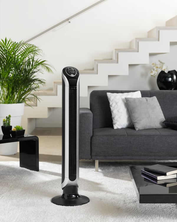 Rowenta Eole VU6620 Svart, Silver