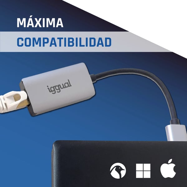iggual IGG318447 netværkskort Ethernet 1000 Mbit/s