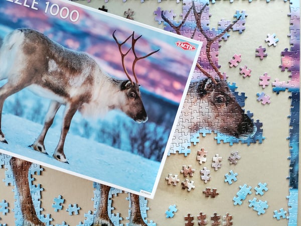 Tactic 58668 palapeli Kuviopalapeli 1000 kpl Eläimet