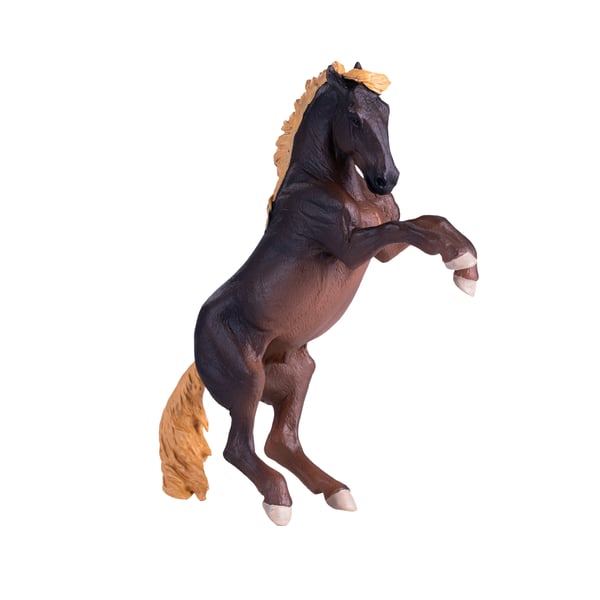 Mojo Fun Brumby Stallion