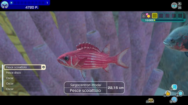 Nintendo Endless Ocean Luminous (Switch) Standard Flersproget Nintendo Switch