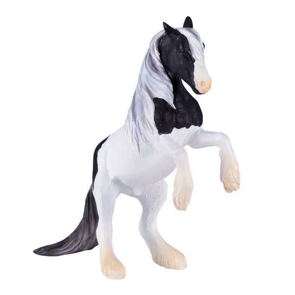 Mojo Fun Irish Cob Stallion