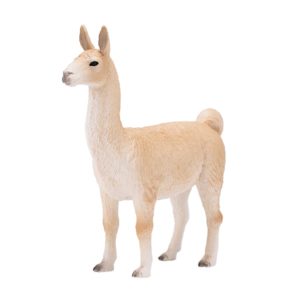 Mojo Fun Llama