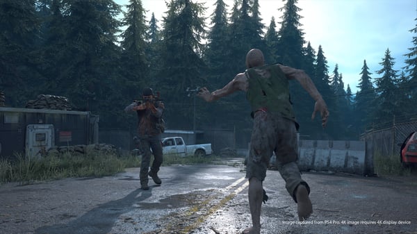Sony Interactive Entertainment Days Gone Standard PlayStation 4