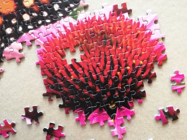 Tactic Monarch Butterfly 1000 pcs Kuviopalapeli 1000 kpl Eläimet