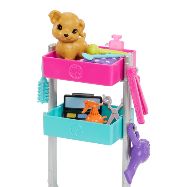 Barbie Doll and Accessories