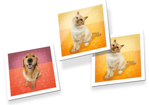 Tactic Pets Memo Kortspil Matching