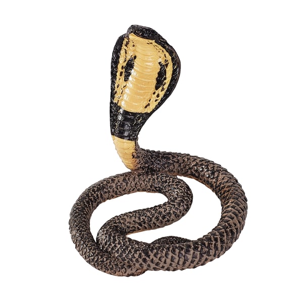 Mojo Fun King Cobra