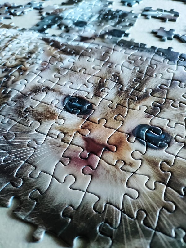 Tactic Cute Kittens 1000 pcs Puslespil 1000 stk Dyr