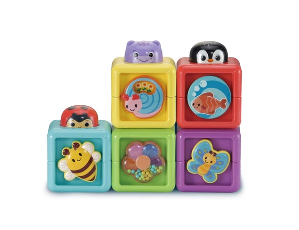 VTech Baby Stapel & Ontdek Blokkenset