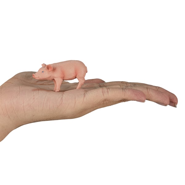 Mojo Fun Piglet