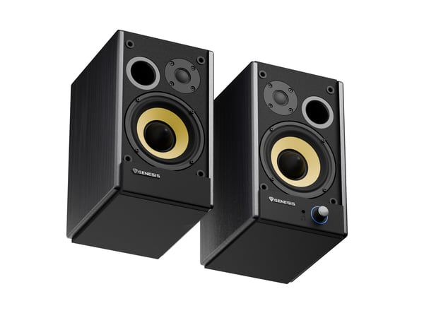 GENESIS ARSEN 502BT 2-vejs Sort Kabel & trådløs 60 W