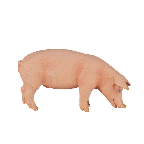 Mojo Fun Pig (Boar)