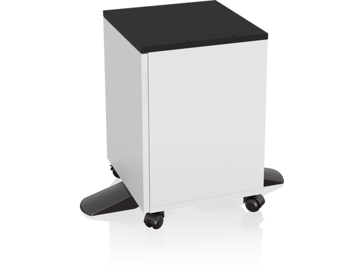 Epson 7112285 printerkabinet og -holder Sort, Hvid