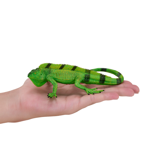 Mojo Fun Iguana