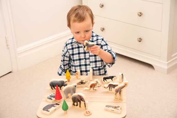 Tickit Wooden Wild Animal Blocks