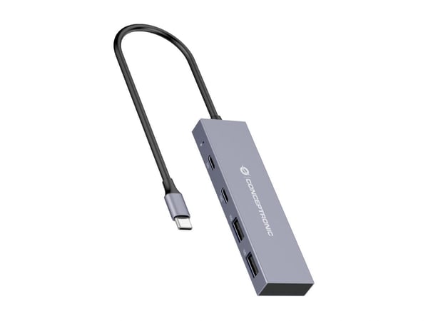 Conceptronic HUBBIES13G gränssnittshubbar USB 3.2 Gen 2 (3.1 Gen 2) Type-C 10000 Mbit/s Grå
