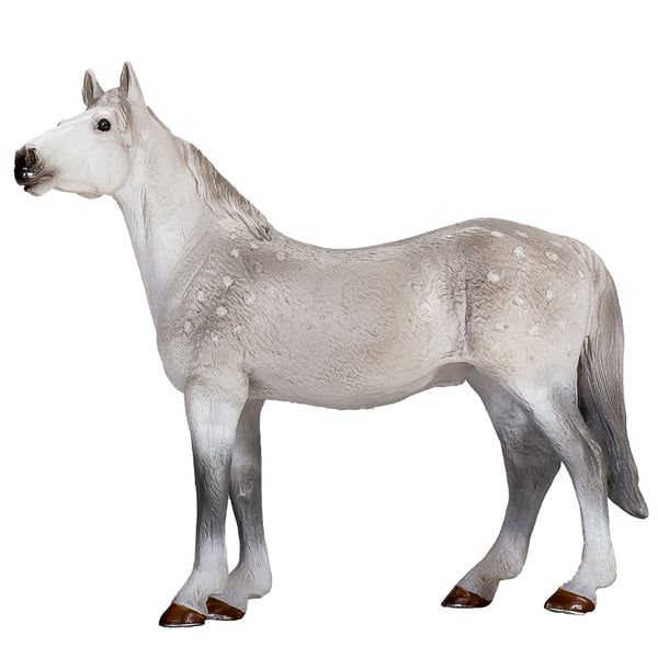 Mojo Fun Orlov Trotter