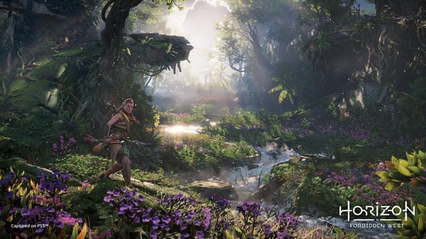 Sony Interactive Entertainment Horizon: Forbidden West Standard PlayStation 5