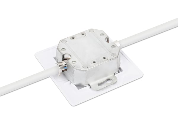 Intellinet 771917 stikkontakt 2 x RJ-45 Hvid