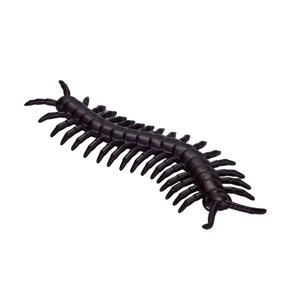 Mojo Fun Insects and Spider set 12pcs