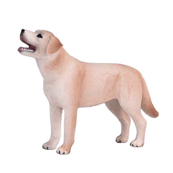 Mojo Fun Labrador