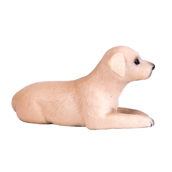 Mojo Fun Labrador Puppy