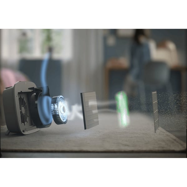 Electrolux EFWBTH3 Luftrenarfilter